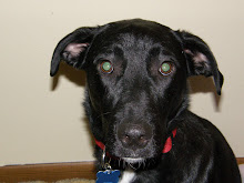 Buddy Boy, Wally