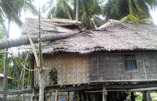 Akibat Angin Kencang, Rumah Warga, Bonelambere ,Tertimpa ,Pohon Kelapa 