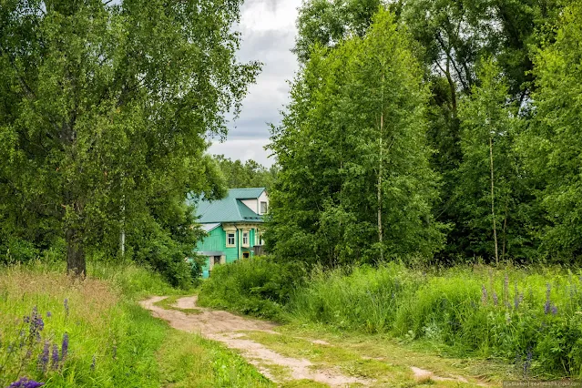 Деревенский дом среди деревьев