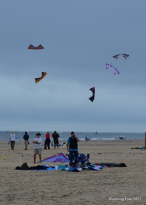 Kite demonstration