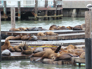 The Sea Lions resting on Pier 39 of Fisherman's Wharf next to Wipeout Grill in San Francisco