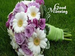 Good Morning All Wishs. 