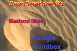 Cara Cepat dan jitu Keluar Dari Google Sandbox