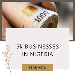 What Business Can I Start With 5k in Nigeria?