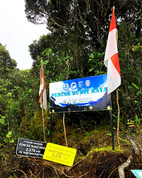 Punjak Bukit Raya