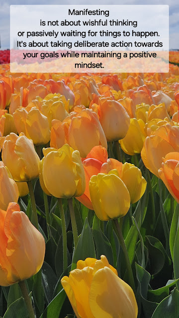 Colorful Tulip field