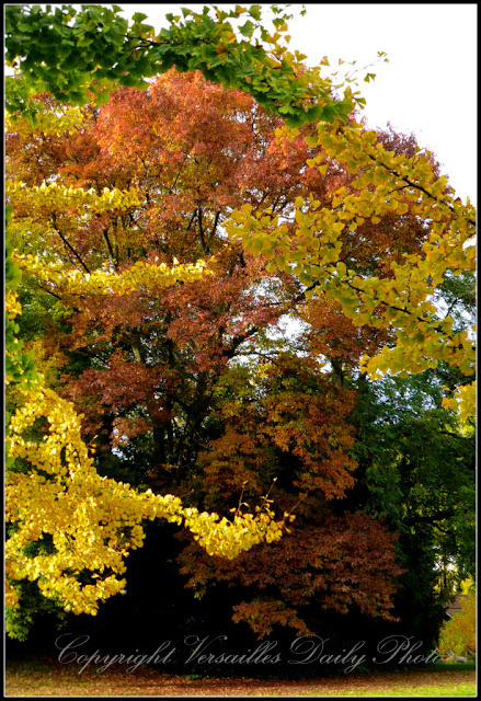 Automne parc Centre Spirituel des Soeurs du Cénacle Versailles