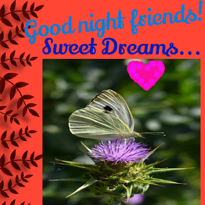 Good night friends! Sweet dreams!