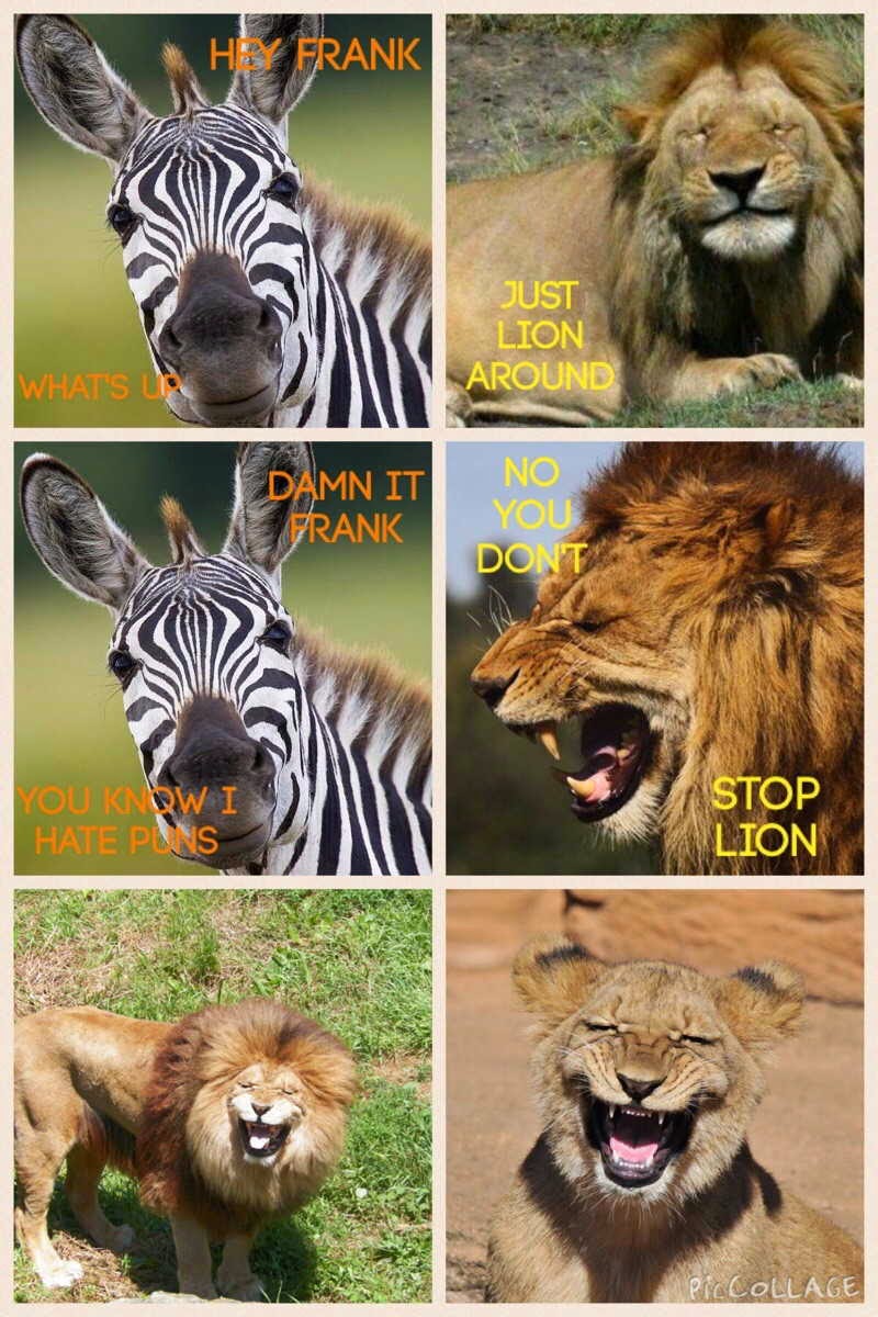 30 Funny animal captions - portion allocation 32 (30 pics) | Amazing
