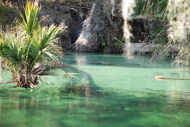 Blue Spring State Park