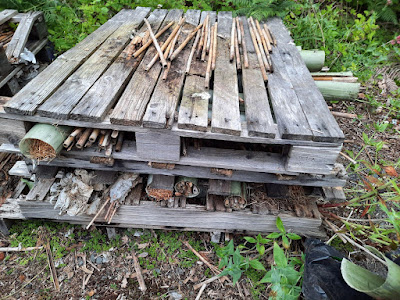 Layering up a bug hotel at the Butterfly Park
