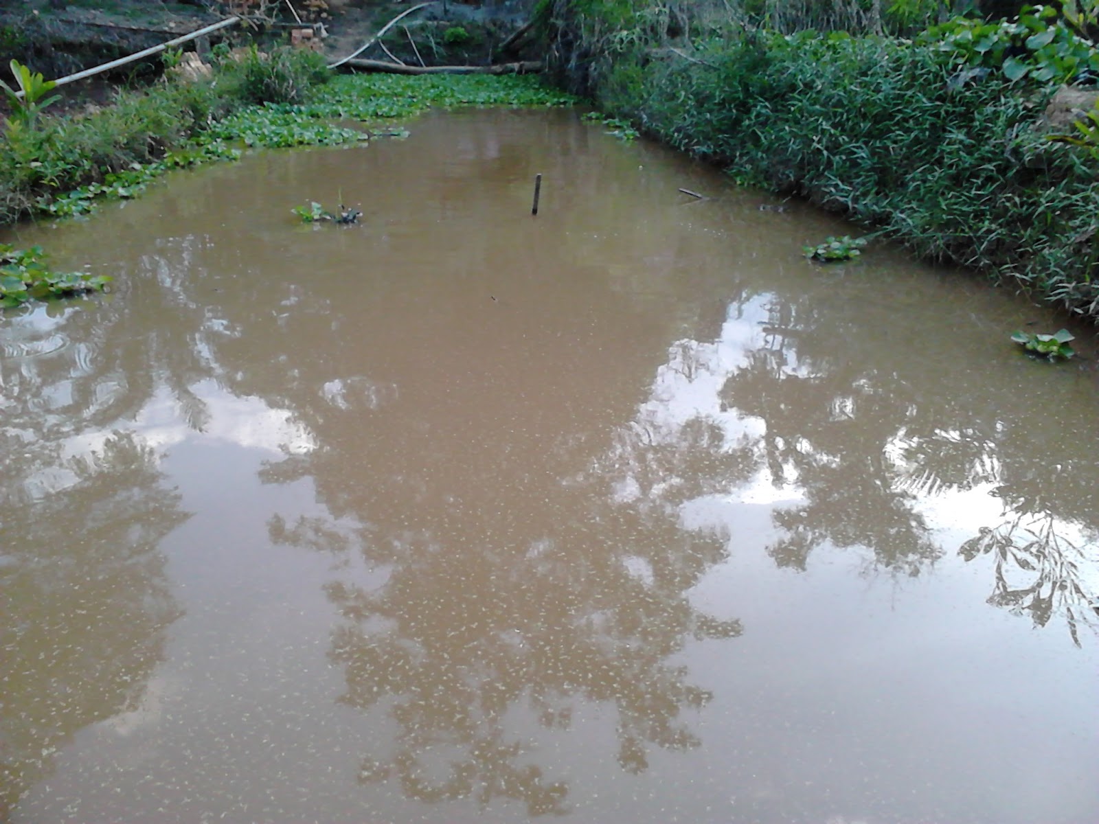 Kumpulan Foto Lucu Mancing