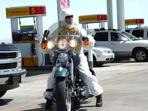 Bunny on a harley