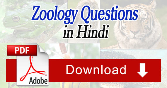 Zoology Objective Question Answers in Hindi PDF Free Download