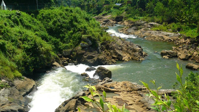 kerala inde paysage nature