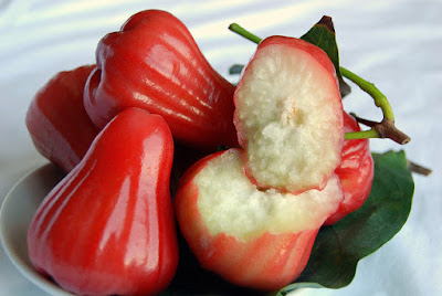 Rose Apple Fruit Health Benefits