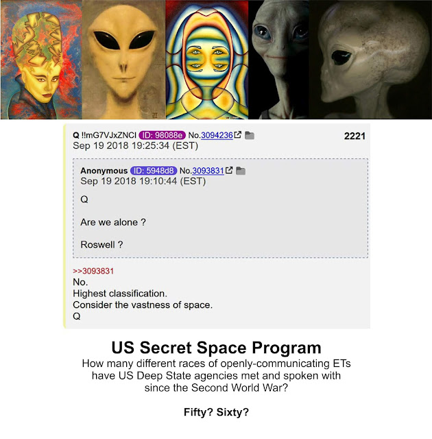 https://www.exopolitics.org/q-confirms-secret-space-programs-real-extraterrestrial-life-exists/