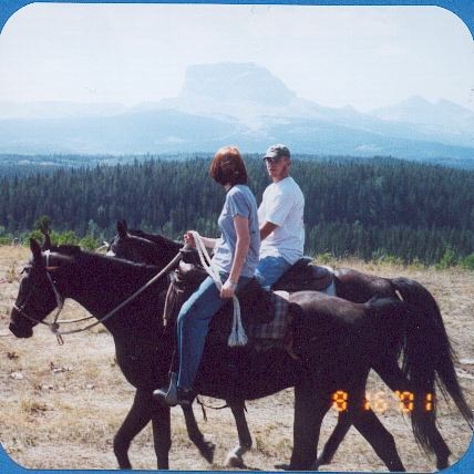 horses