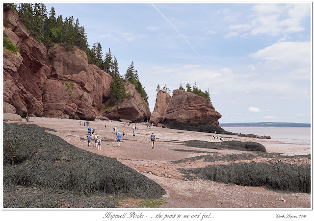 Hopewell Rocks: ... the point to see and feel...