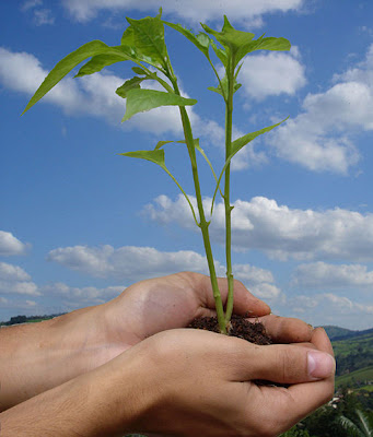 Glossário de Ecologia