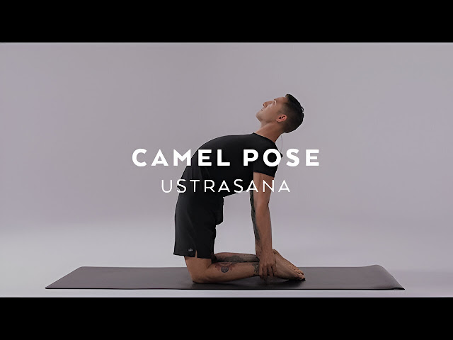 Camel Pose (Ustrasana)