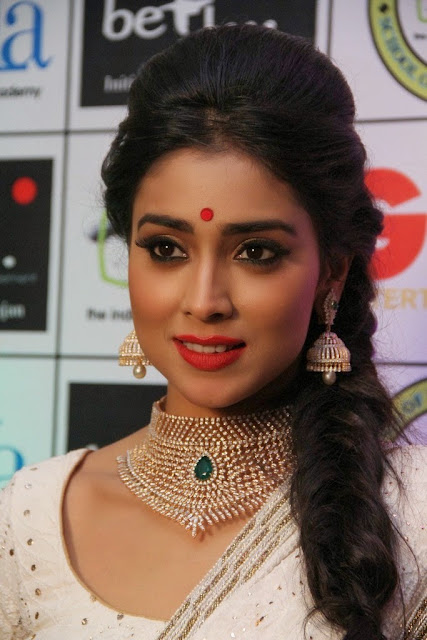 Shriya Saran Hot Photo Gallery