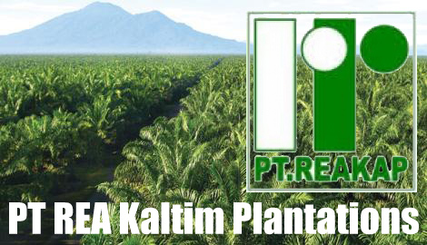 Job Vacancy from PT REA Kaltim Plantations #1704104