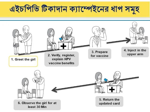 এইচপিভি টিকাদান ক্যাম্পেইনের ধাপ সমূহ