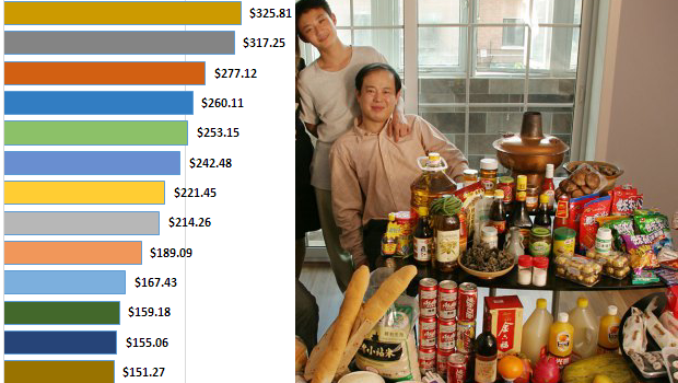 Family Food Expenditures Around The World