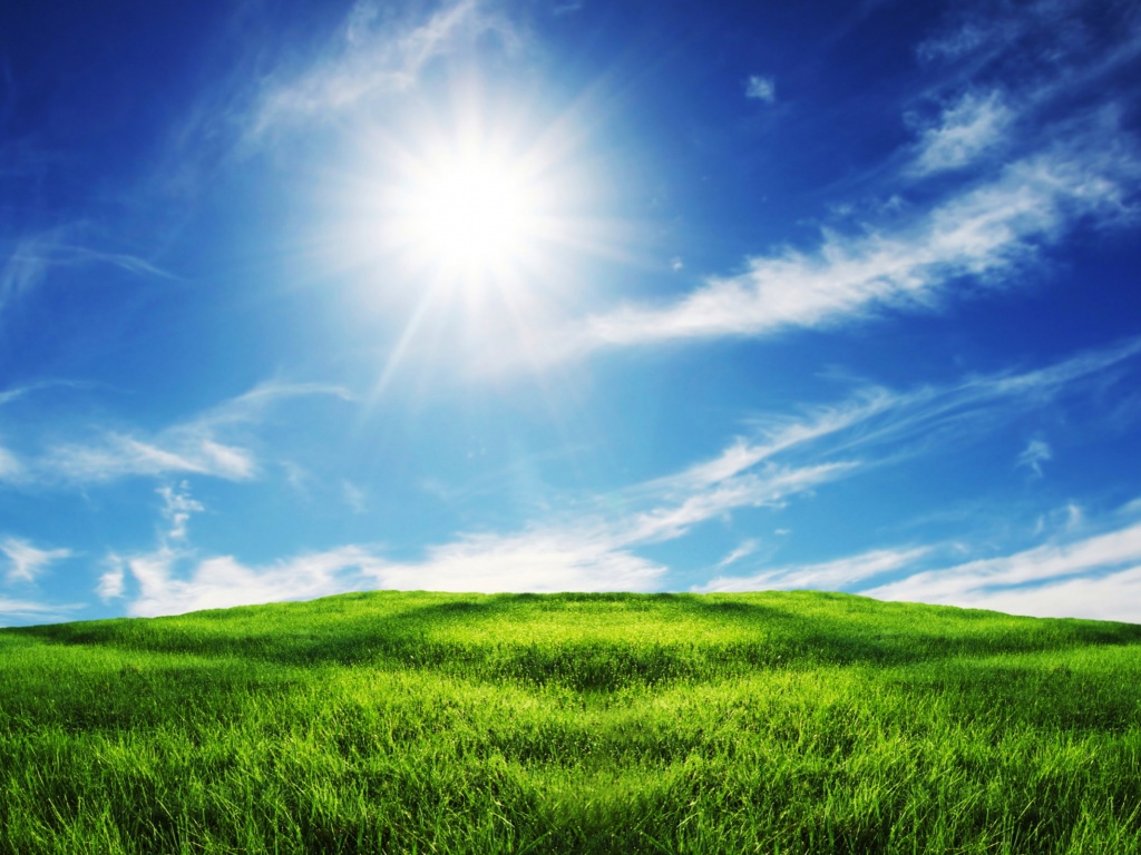 Grass and Sky