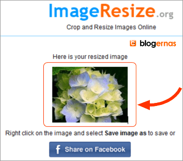 Crop Foto secara Online di Situs ImageResize