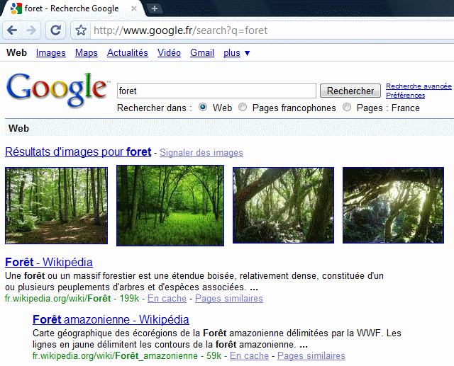 foret en images