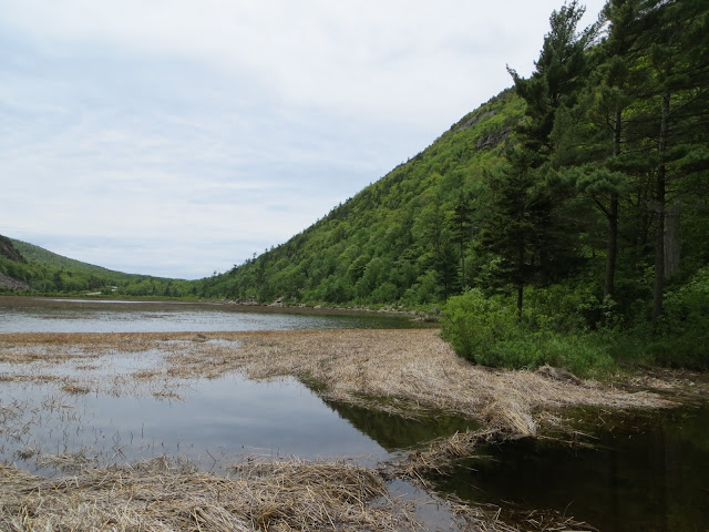 The Tarn