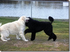 Jackson & Cooper (5)