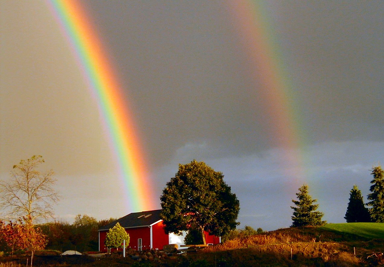 Shirat Devorah: The Rainbow Covenant