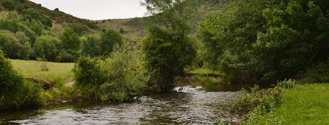 Pontón de la Oliva