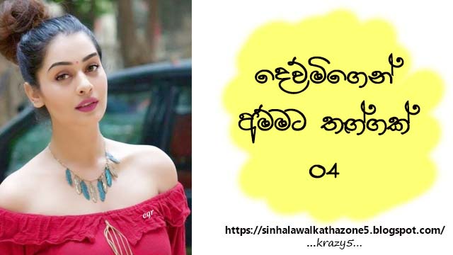 Dewmigen Ammata Thaggak | දෙව්මිගෙන් අම්මට තෑග්ගක්  04