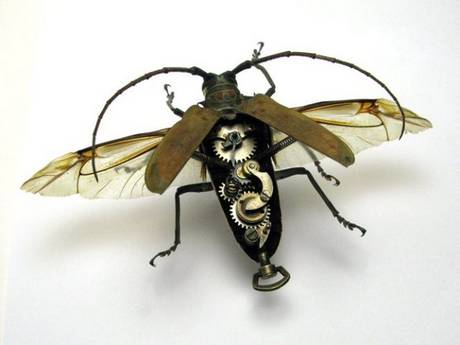 mechanical insect art by Mike Libby