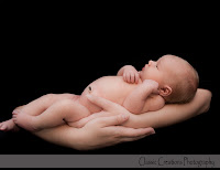 classic creations newborn portrait