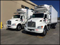 Hollandia Dairy  Kenworth T370s