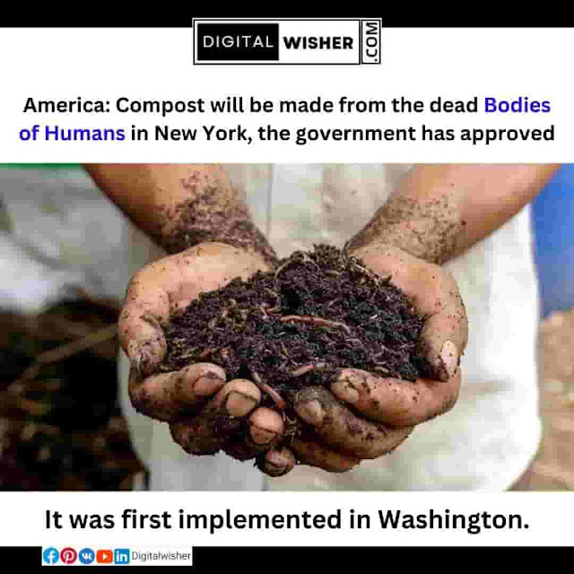 America: Compost will be made from the dead bodies of humans in New York, the government has approved - Digitalwisher.com