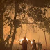 49 BRIGADAS TRABAJAN EN EL COMBATE DE LOS  INCENDIOS FORESTALES EN TLAXCALA