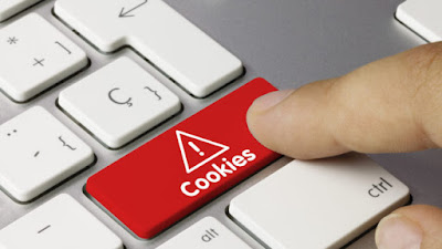 Cookies de Internet