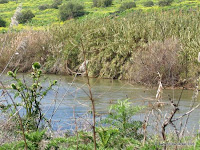 Israel Reizen: De Jordaan (rivier)