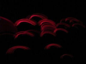 IMG_1135