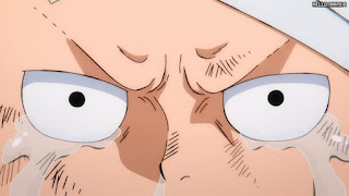 ワンピースアニメ 1036話 光月モモの助 Kozuki Momonosuke CV.折笠愛 | ONE PIECE Episode 1036