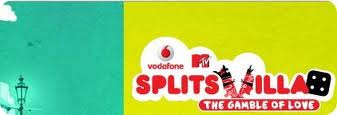 MTV Splitsvilla 4 - Banner