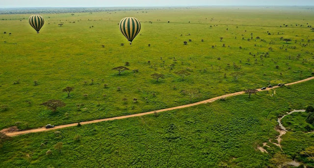 Serengeti National Park, Tanzania