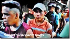 at shelterjpg