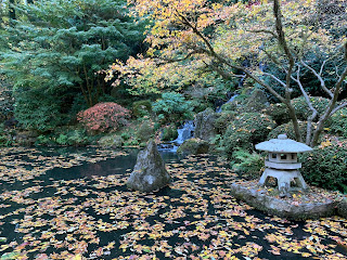 Portland Japanese Garden Fall Colors